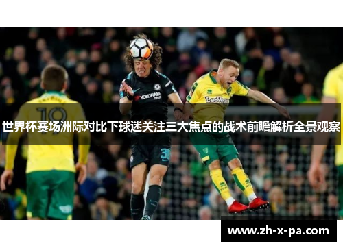 世界杯赛场洲际对比下球迷关注三大焦点的战术前瞻解析全景观察
